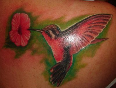 Birds tattoos, Humming Bird tattoos, Tattoos of Birds, Tattoos of Humming Bird, Birds tats, Humming Bird tats, Birds free tattoo designs, Humming Bird free tattoo designs, Birds tattoos picture, Humming Bird tattoos picture, Birds pictures tattoos, Humming Bird pictures tattoos, Birds free tattoos, Humming Bird free tattoos, Birds tattoo, Humming Bird tattoo, Birds tattoos idea, Humming Bird tattoos idea, Birds tattoo ideas, Humming Bird tattoo ideas, hummingbird and flower pics tattoo on back